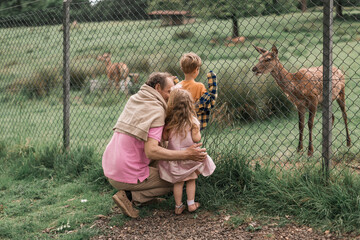 Exciting experience. Cute little girl watching and stroking young dappled deer with food while spending great time with her family in zoo. National Park. Animals