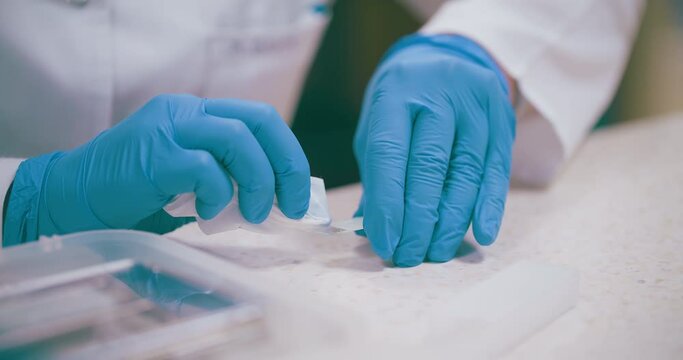 Scientist Working in Medical Laboratory Cancer Research Covic 19 Pandemic