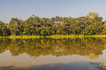 Small lake in Chiang Rai province, Thailand