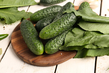 Board with fresh cucumbers for preservation on light wooden background