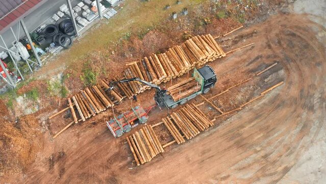 Loader puts wooden logs in long row on rural sawmill ground. Heavy machinery operates in countryside loading wood of forest trees aerial view
