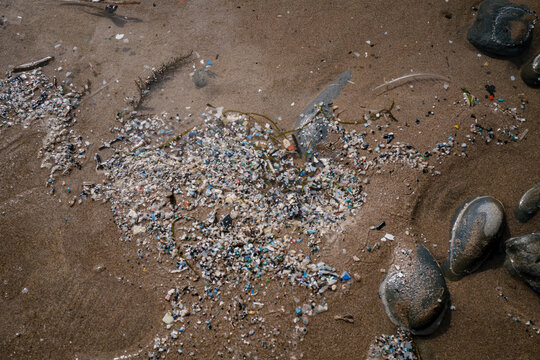 Microplastics washed up on a beach in the Pembrokeshire National Park