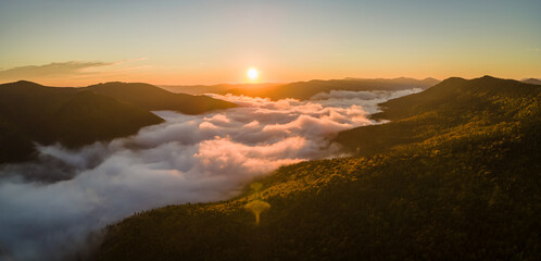 Aerial view of amazing scenery with foggy dark mountain forest pine trees at autumn sunrise. Beautiful wild woodland with shining rays of light at dawn