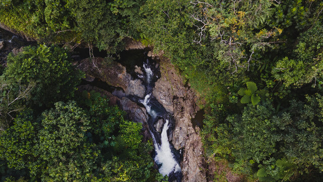 Small cascade in El Yunque national forest, Puerto Rico