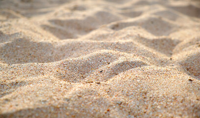Close up of clean yellow sand surface covering seaside beach illuminated with day light. Travel and...