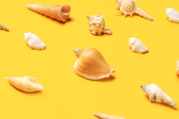 Different sea shells on yellow background, closeup