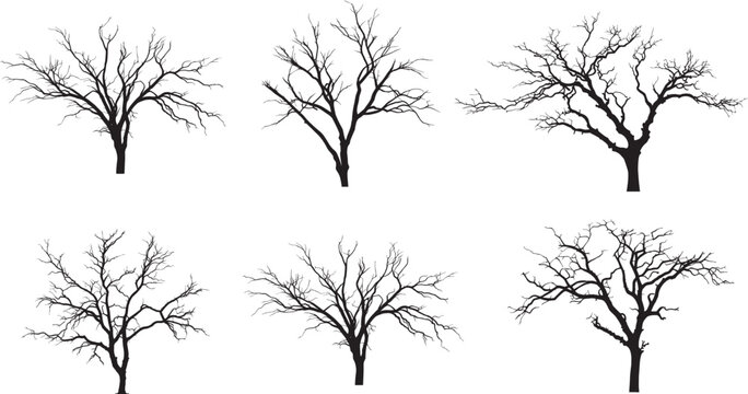 naked tree branches set. dead tree silhouettes set. tree branches  without leaves. Naked trees silhouettes set.