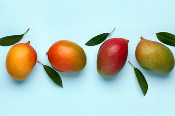 Fresh ripe mangoes on light blue background