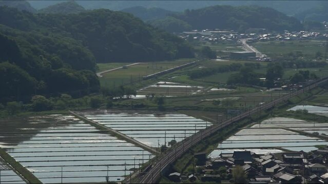 初夏の伊吹山麓を走るEF210牽引の貨物列車と新幹線（東海道本線 近江長岡-柏原, 2023年5月）