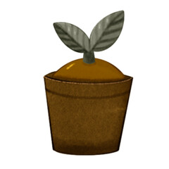 plant in a pot