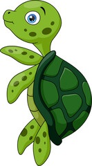 Cute baby turtle cartoon on white background