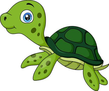 Cute baby turtle cartoon on white background