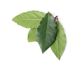 Fresh bay leaves isolated on white, top view