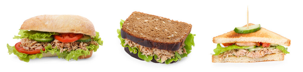 Collage of different delicious sandwiches with tuna on white background