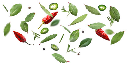 Bay leaves, rosemary, fresh green, dry red and black pepper flying on white background