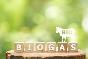 Biogas is gas produced from manure or organic matter is decomposed and icon.