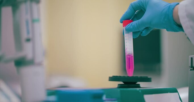 Scientist Working in Medical Laboratory Cancer Research Covic 19 Pandemic