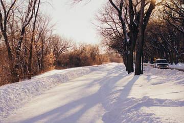 Winter Walkway Path