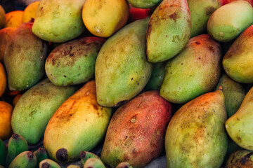 A lot of red and green ripe mangoes on the market. Background for raw food and vegetarianism