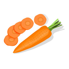 a Carrot with leaves and carrot slices on white background. Vector illustration, top view.