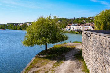 Lush tree at the confluence between the Seine and Yonne rivers in the town of Montereau Fault Yonne...