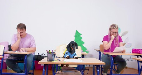 Student dog man in bright T-shirt and woman with dreadlocks are sitting at their desks in classroom. Fashionable young parents at school meeting nervous worry Alternative education individual approach
