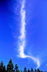 青空に煙のように真っすぐに伸びる白い雲