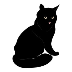 Black cat on an isolated white background.