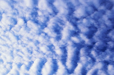 青空とひつじ雲が描く空模様