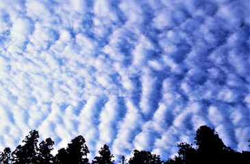 青空とひつじ雲が作るデザイン的な空模様