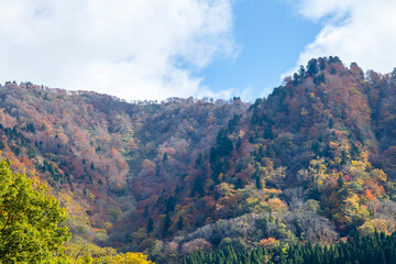 若桜氷ノ山の秋の風景 鳥取県 氷ノ山