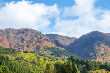 若桜氷ノ山の秋の風景 鳥取県 氷ノ山