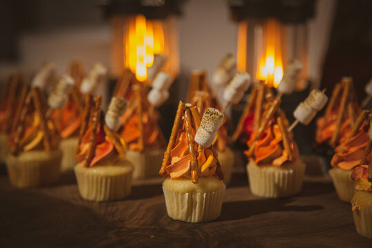 Campfire cupcakes with marshmallows and pretzels 