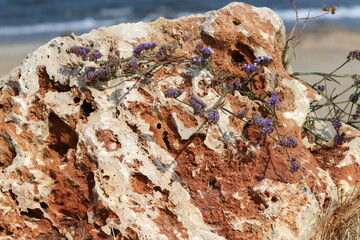 Texture and structure of the stone. Natural nature background.