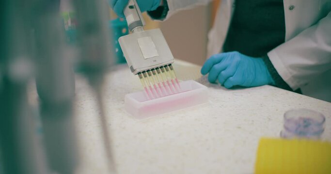 Scientist Working in Medical Laboratory Cancer Research Covic 19 Pandemic