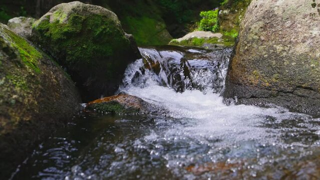 slow motion of crystal clear water of mountain stream, river rapids with flowing water, peaceful scenic creek in forest