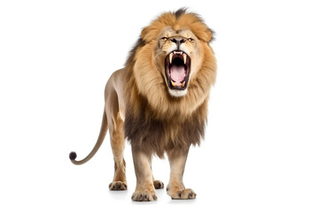 Regal Lion Roaring With Confidence Isolated on White,, generative AI