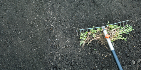 Working in the garden. preparation soil in garden with rake. banner with place for text.