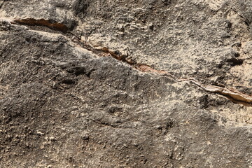 Texture and structure of the stone. Natural nature background.