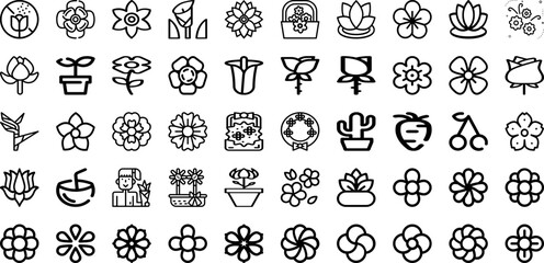 Set Of Floral Icons Collection Isolated Silhouette Solid Icons Including Leaf, Design, Vintage, Illustration, Floral, Plant, Background Infographic Elements Logo Vector Illustration