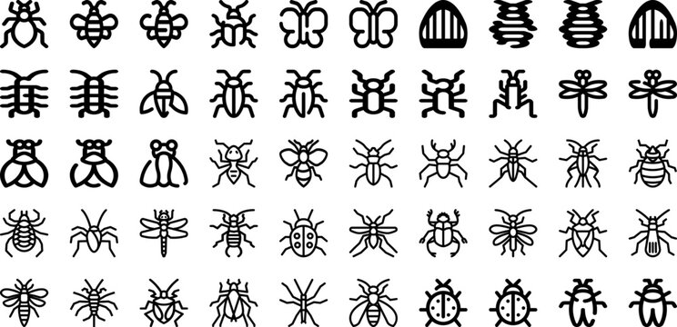 Set Of Insects Icons Collection Isolated Silhouette Solid Icons Including Set, Bug, Dragonfly, Insect, Vector, Ladybug, Beetle Infographic Elements Logo Vector Illustration