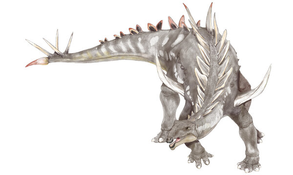 ファヤンゴサウルス　ジュラ紀中国大陸に生息していたとされる。頭部から推定される体長は4メートル前後。剣竜類では現在のところ最も古い恐竜。背中や尾にかけて板状から棘上に変化しながら並んだ骨盤があった。胴体の幅は広く、顎の先には他の剣竜類に見られない歯があった。雑食から草食に変化してゆく過程にあったのかもしれない。