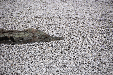 Close view of a rock with diffuse lighting. Ideal to represent the idea of ​​peace and zen space