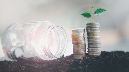 The seedlings are growing on the coins and clear jar. Business investment growth concept. Saving...