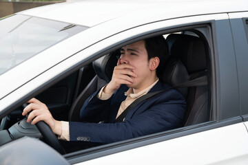Young Asian business man with car