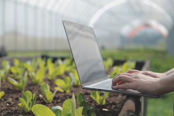 Asian woman farmer using digital tablet in vegetable garden at greenhouse, Business agriculture technology concept, quality smart farmer.