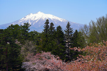 Beautiful spring scenery of Mount Iwaki in Aomori Prefecture, Japan.