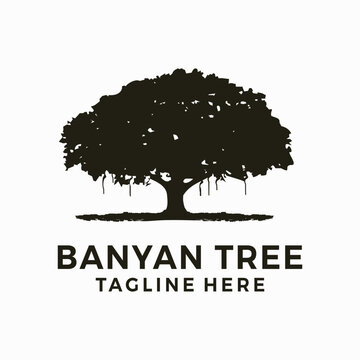 banyan tree simple vector template