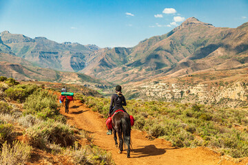 Female tourist riding on a Basotho Poney in Lesotho