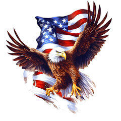 American Flag Eagle Sublimation